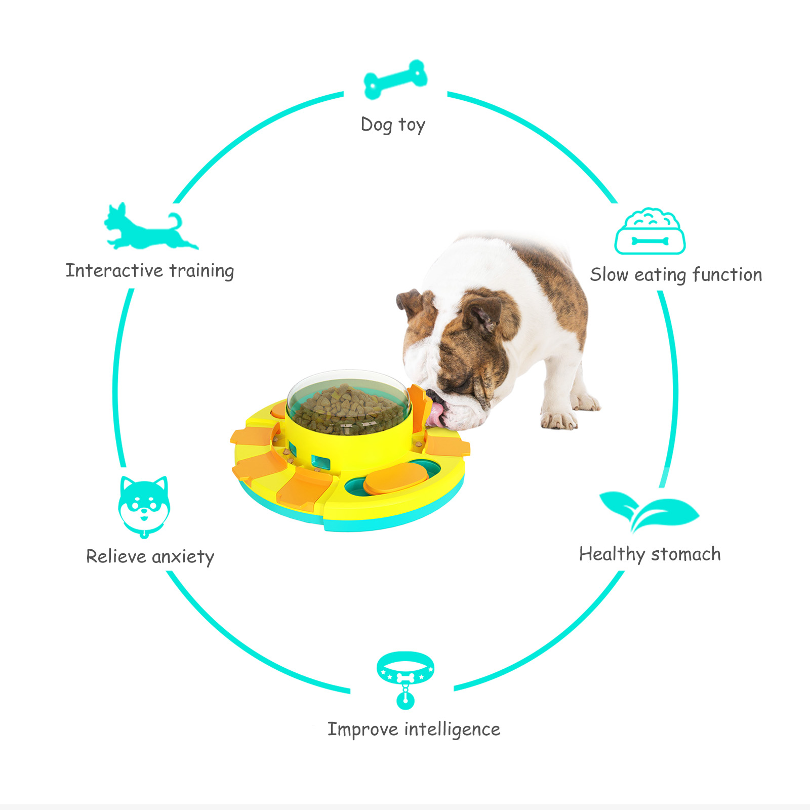 Dog Slow Feeder Food Treat Dispenser Interactive Training Toys