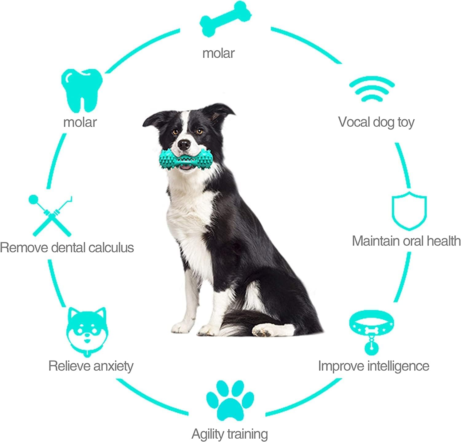 Dog Teeth Cleaning Toy Toothbrush Stick Bone Squeaky Toys for Training Aggressive Chewers