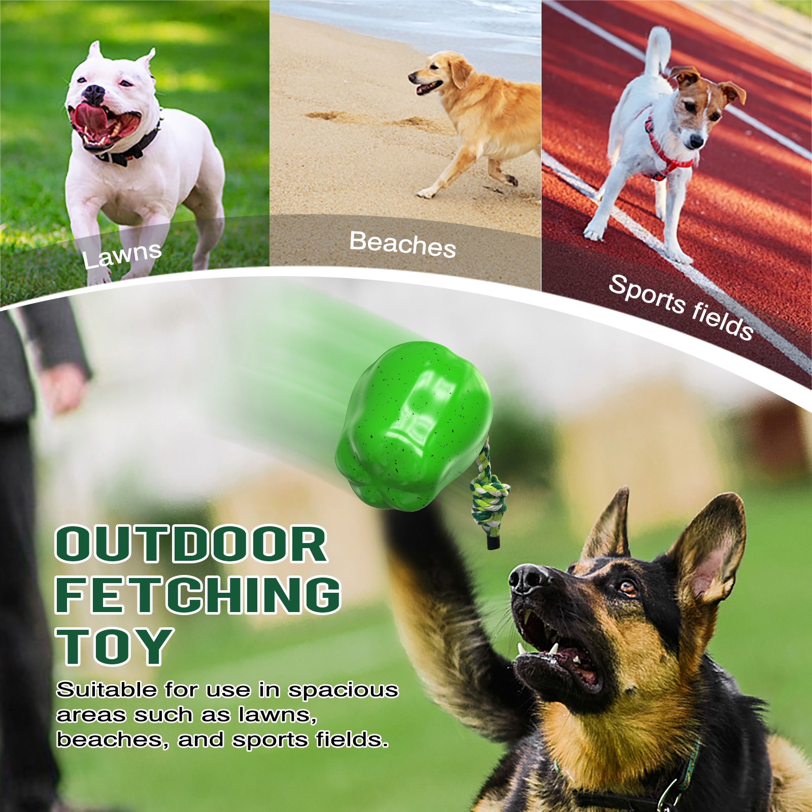 Green Apple Squeaky Dog Toy for Medium Large Dogs Breed Aggressive Chewers